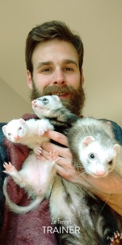 Visite à domicile pour une petite tribu de furet, paris