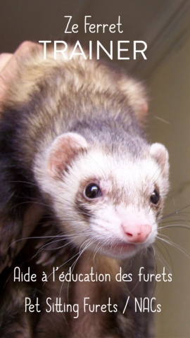 Léo, ma mascotte